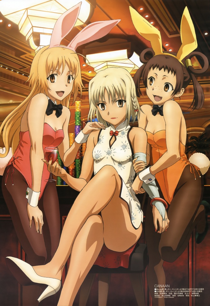  p data-id="gnvh4ub3fc">《迦南》(canaan)是根据2008年日本 a