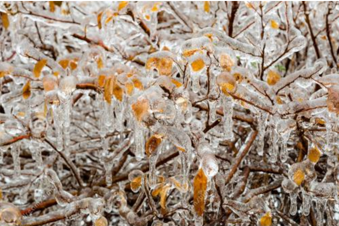  p>冰暴,一种暴风雨,其所降落的雨只要一接触任何物体就立刻冻结.