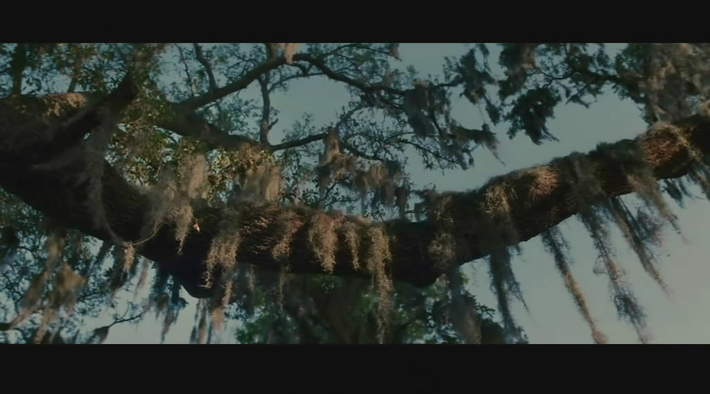 万能钥匙theskeletonkey(2005)