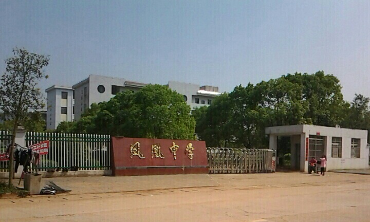 株洲凤凰中学