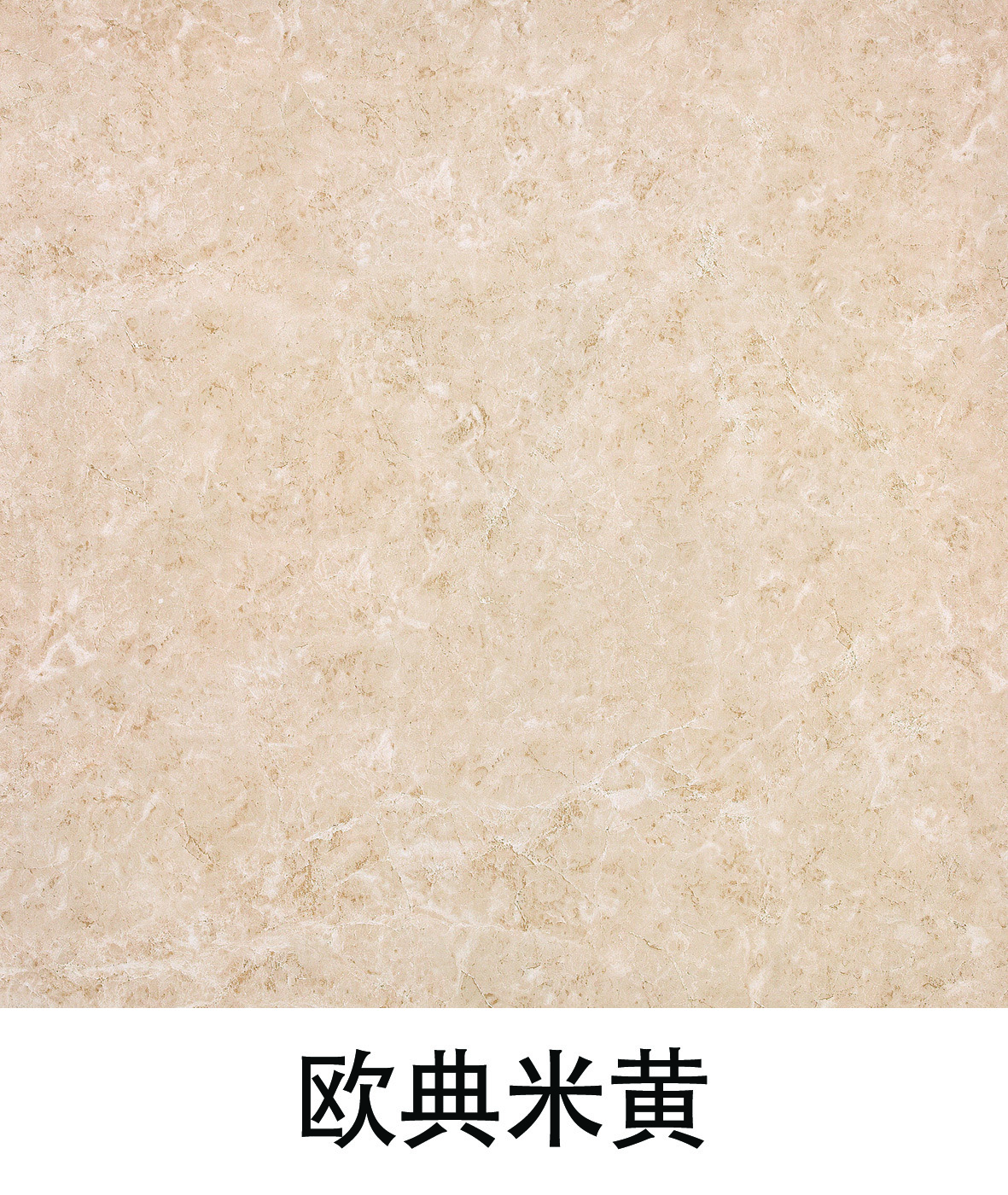  p data-id="gnwzfu3l1p">瓷抛砖(porcelain polished tile),其表面为