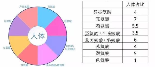  p>必需氨基酸指人体(或其它脊椎动物)不能合成或合成速度远不能适应