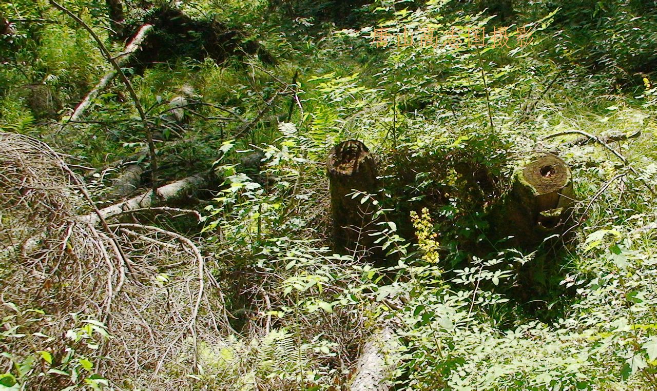  p>长白山大峡谷位于白山市抚松县境内,是近几年发现的自然奇观,可与