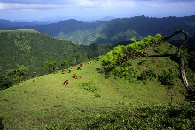  p data-id="gnbtkfaspf">八排山,位于罗定市船步,信宜市思贺,阳春市