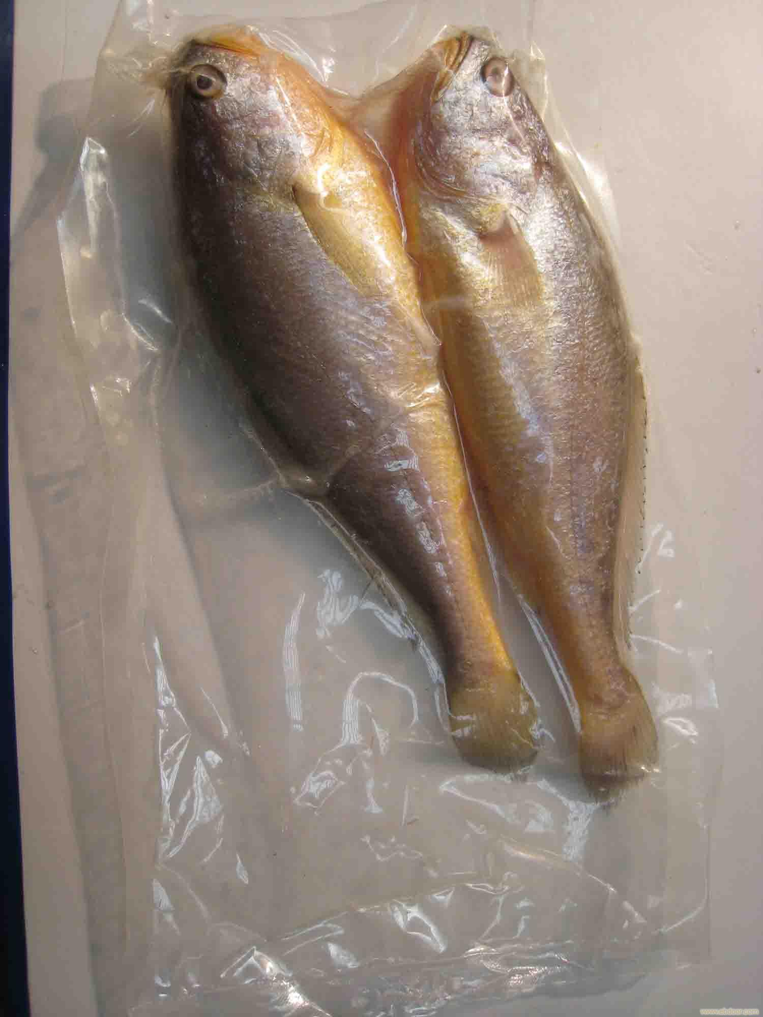 是 a href="#" data-lemmaid="2520993">辐鳍鱼纲 /a>中的一个目,其