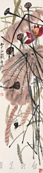 秋荷