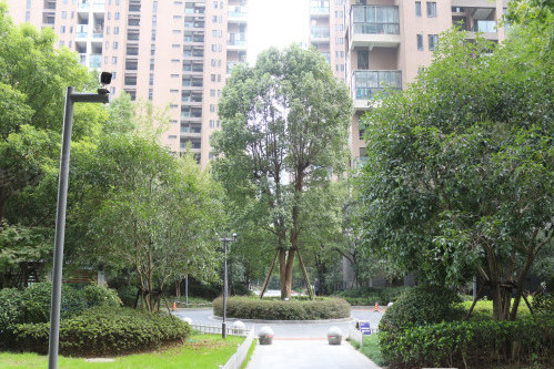 欣盛东方郡东区