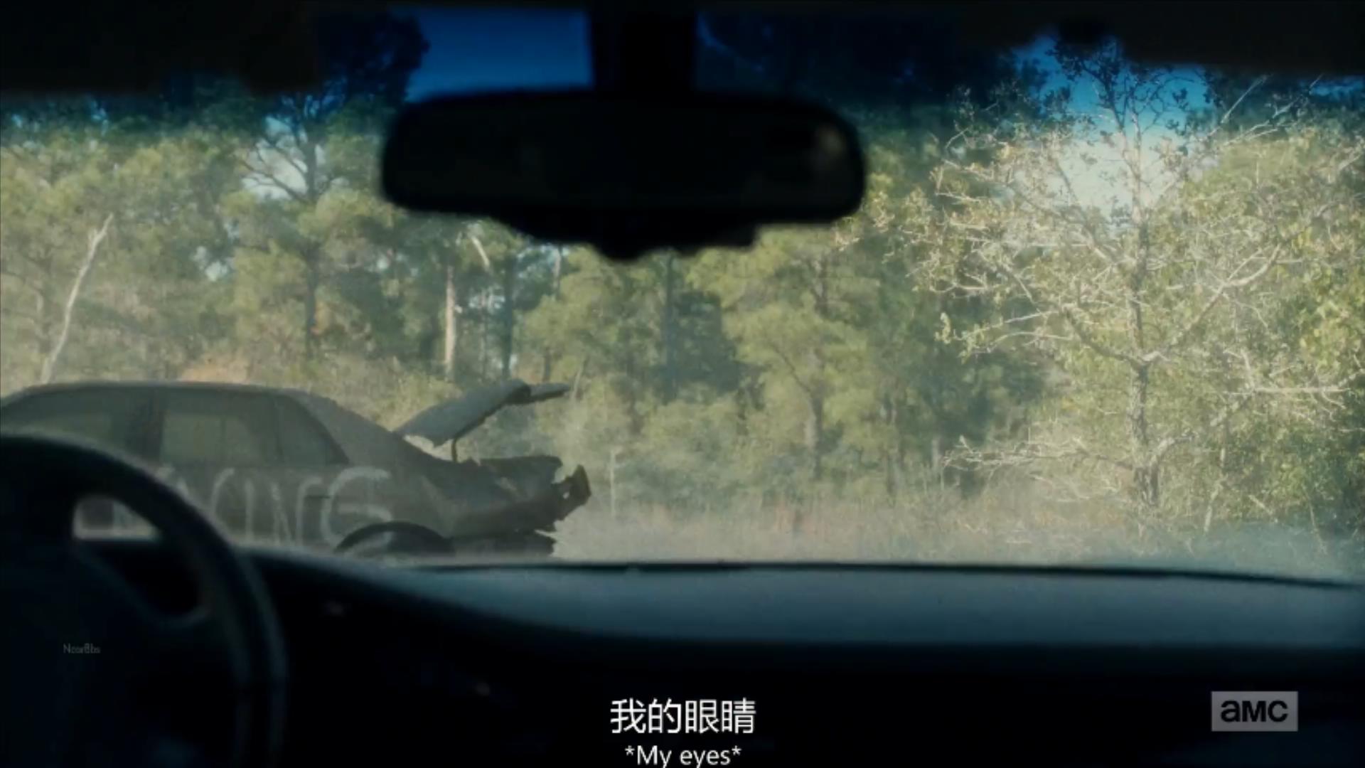 行尸之惧第六季