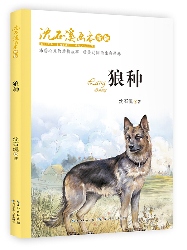 沈石溪画本(新版)·狼种动物小说大王沈石溪经典作品