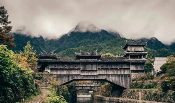 庆元县_百度百科
