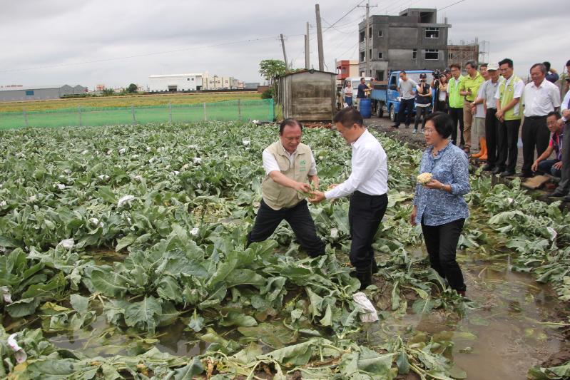黑龙江省/129397" data-lemmaid="129397">黑龙江省 /a>鹤岗市绥滨县