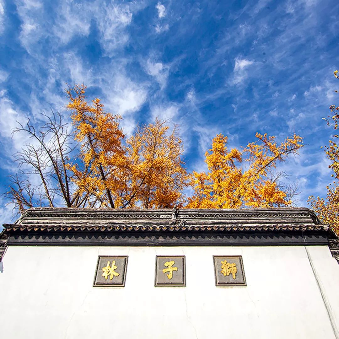 为什么狮子林在“苏州四大园林”中最特别？_百科TA说