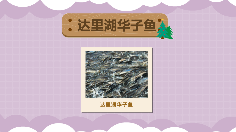 达里湖华子鱼:赤峰市克什克腾旗特产