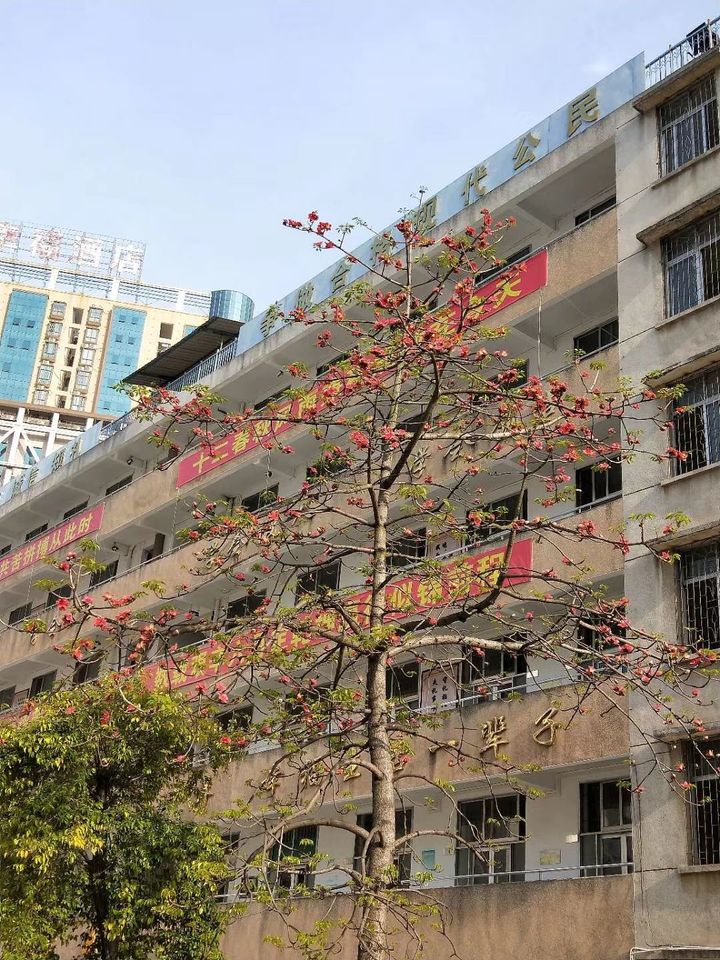 韶关市田家炳中学