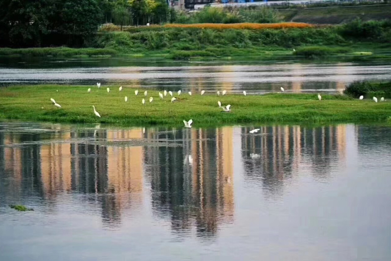  p>平邑金线河省级湿地公园位于平邑县卞桥镇,主要包括安靖水库,银线