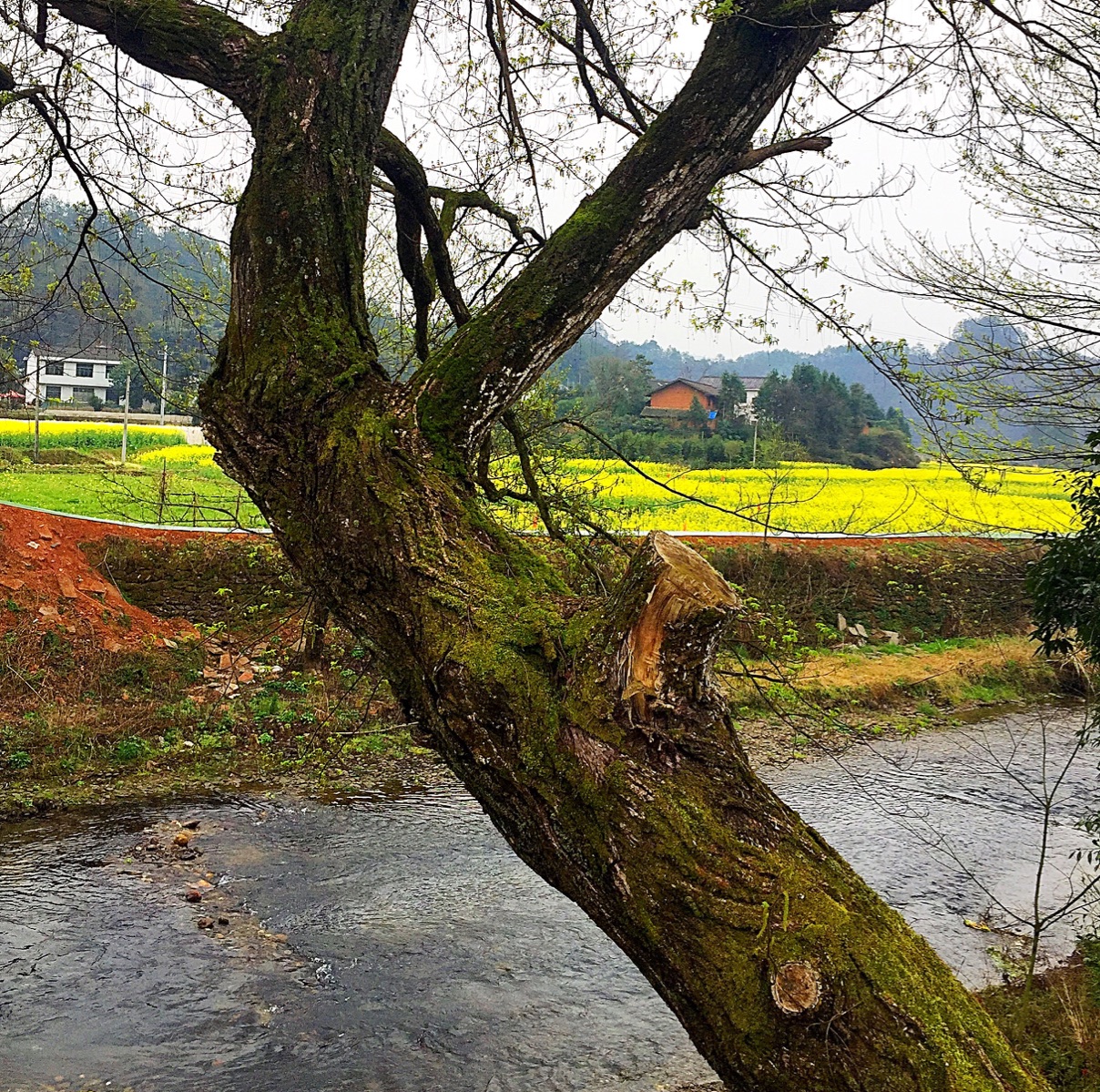  p data-id="gnzwzpd0n4">达浒镇,隶属于湖南省长沙市浏阳市,地处 a