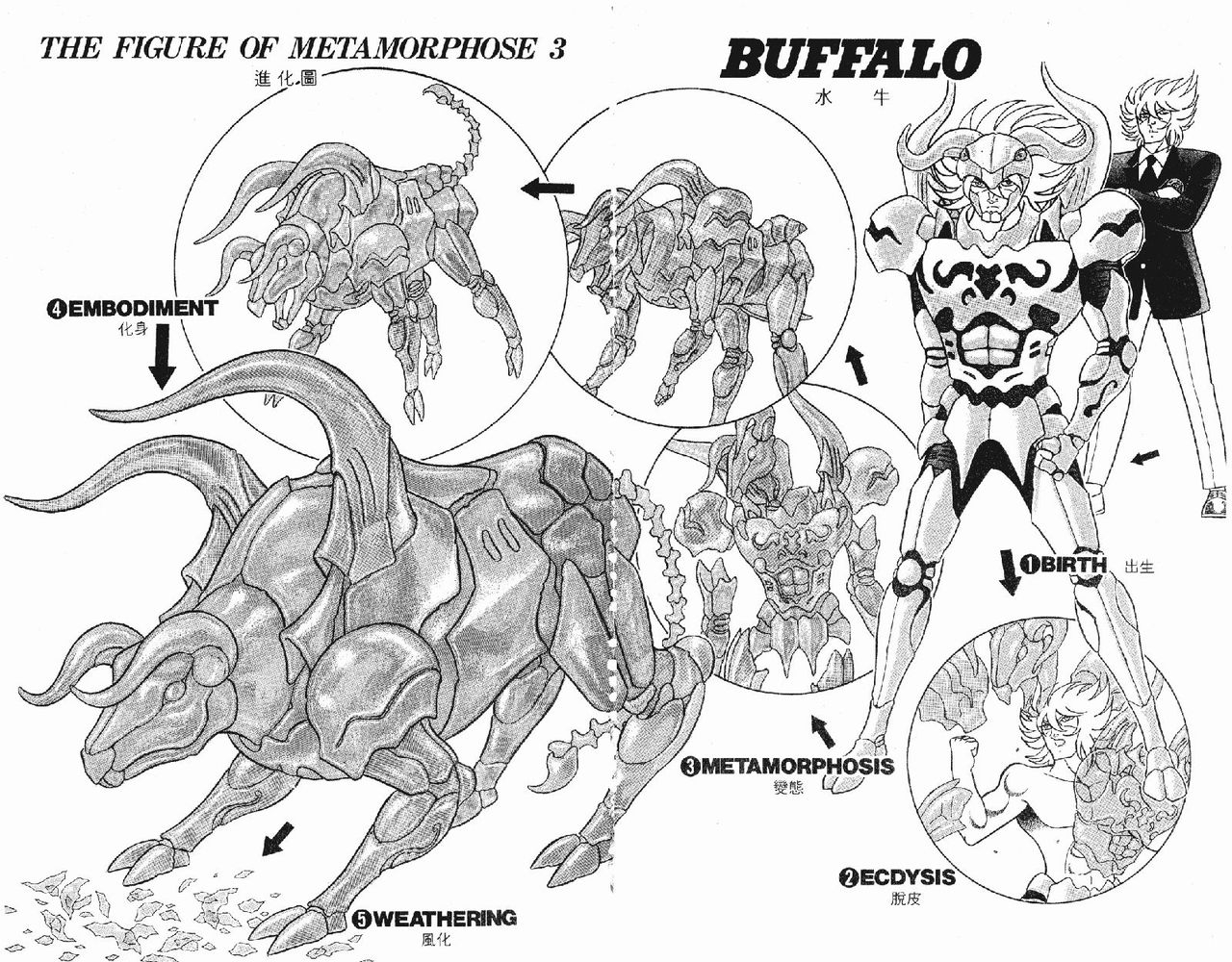  p>《静斗士·翔》 a href="#" data-lemmaid="267187">日本漫画 /a>
