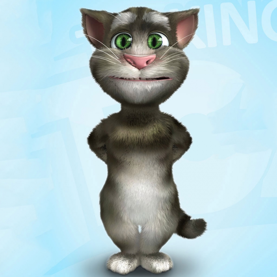 会说话的猫汤姆猫