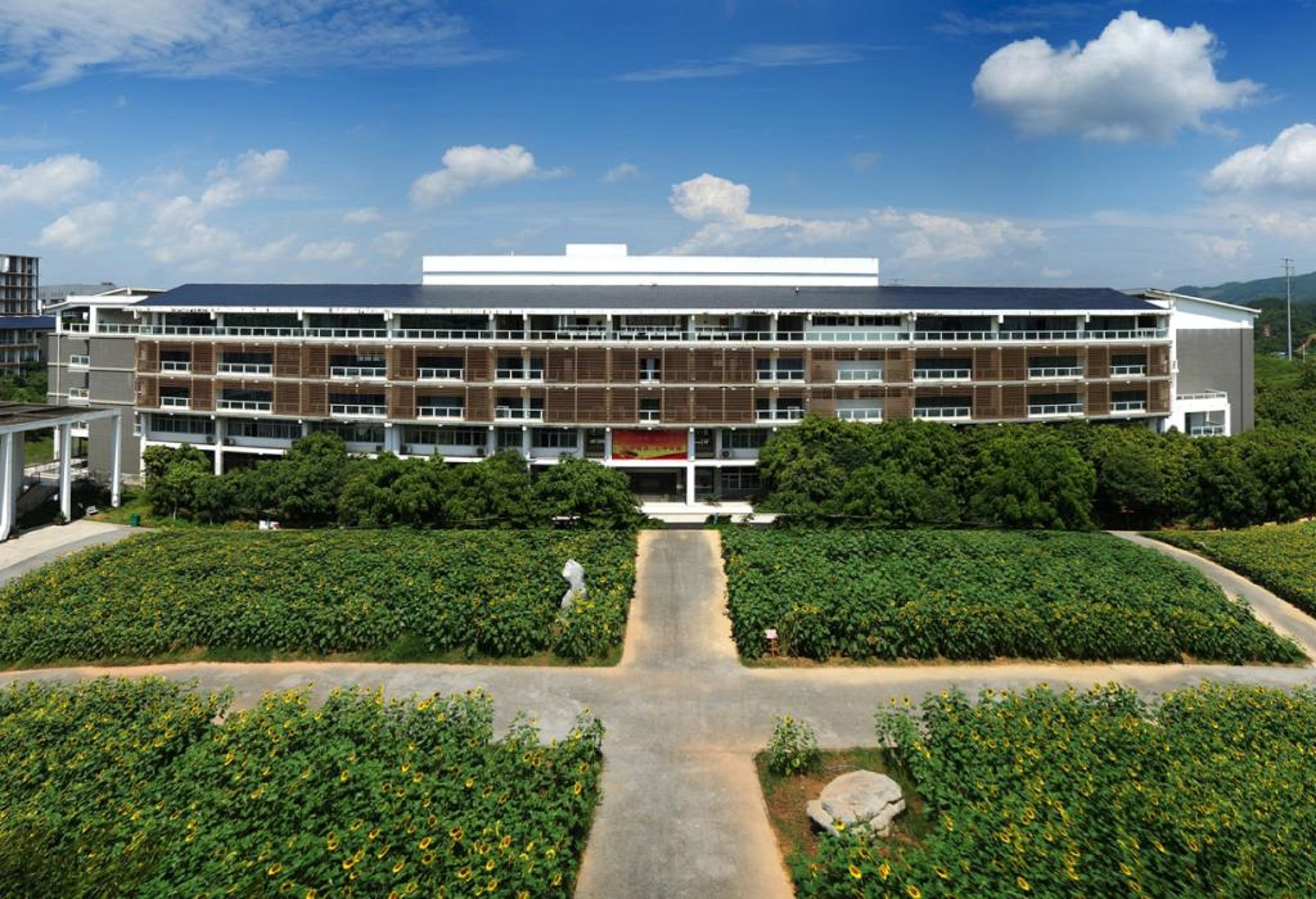 nanning college for vocational technology