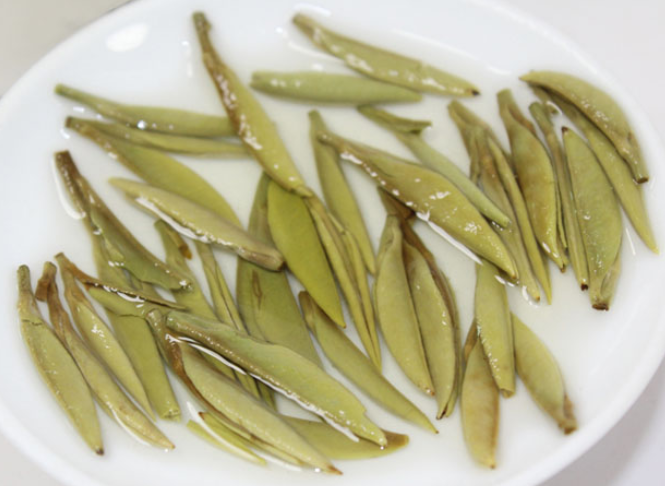 太姥银针茶