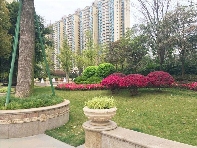 金堂恒大御景半岛