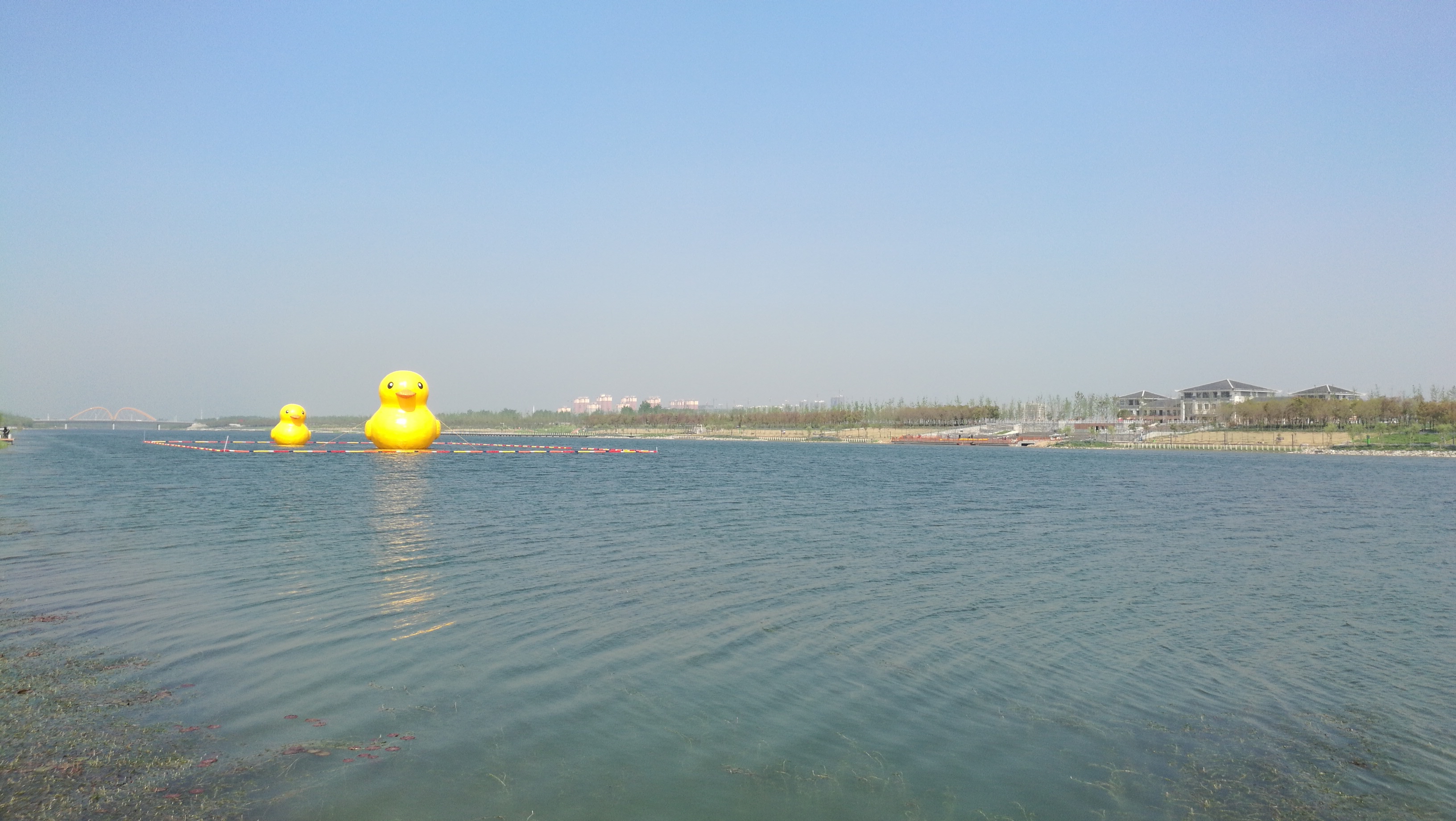 宿州新汴河水利风景区