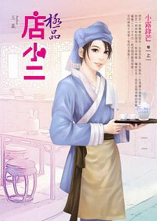 极品店小二(上)小露锋芒
