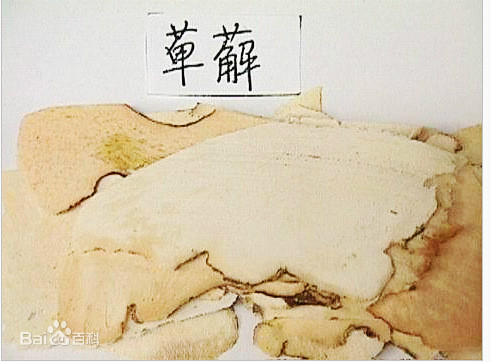 萆薢图片_百度百科