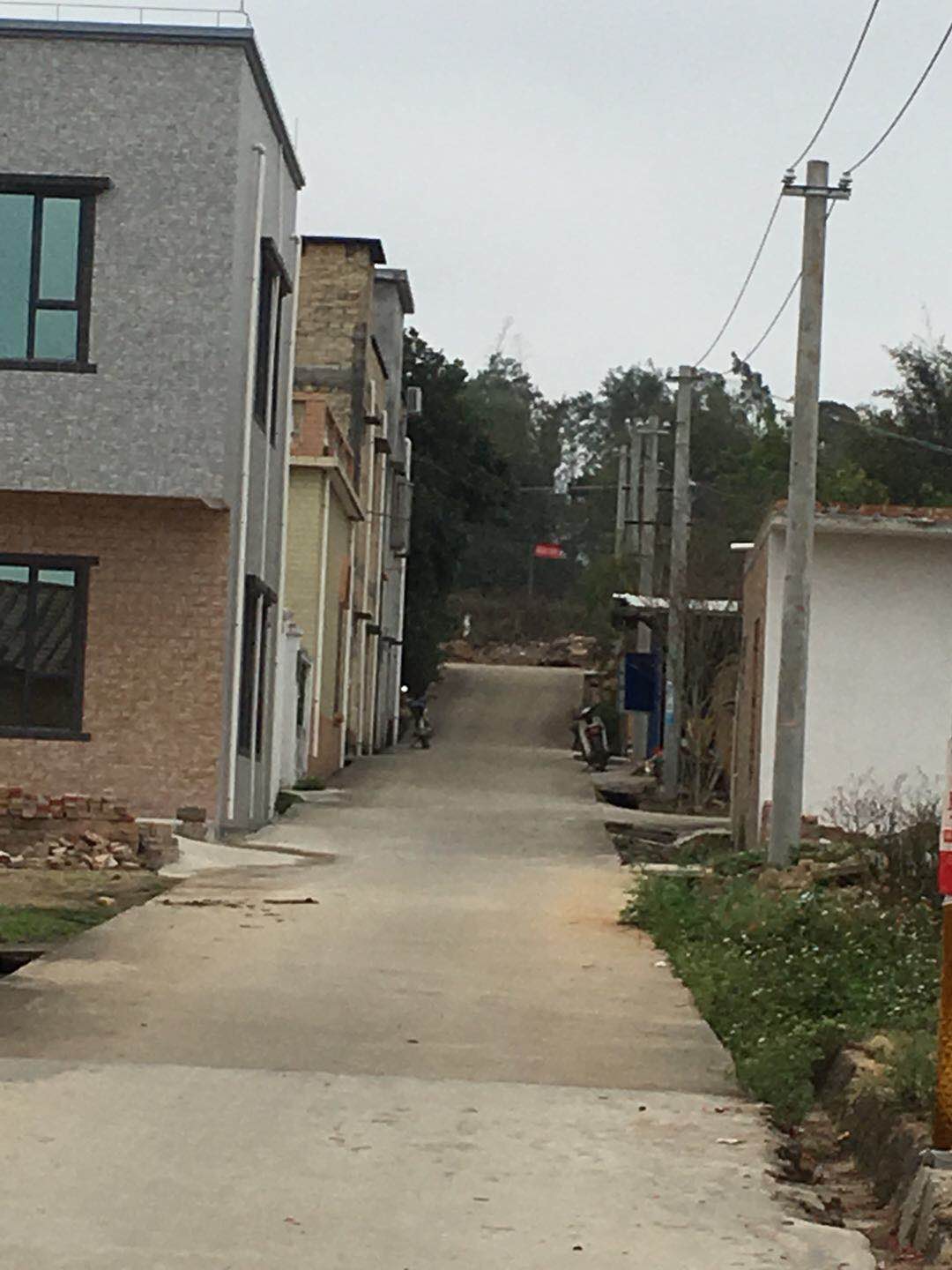  p>广东省湛江市 a target="_blank" href="/item/遂城镇/13334094"