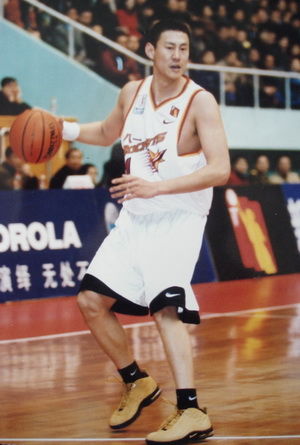  p>李楠,男,1974年9月25日出生,辽宁大连人,前中国篮球运动员,司职 a