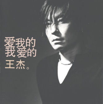 爱我的我爱的王杰