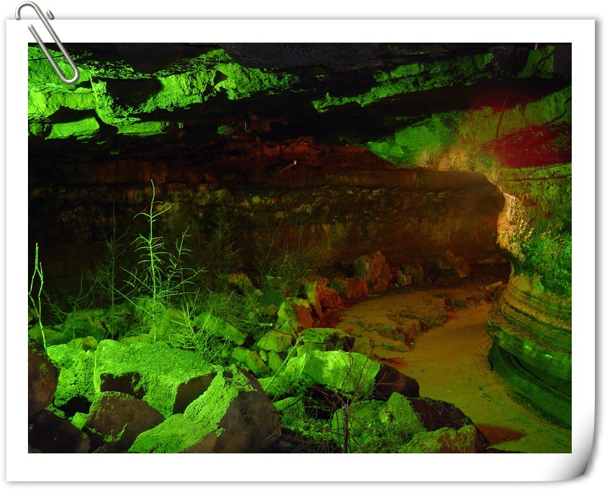 牡丹江地下森林