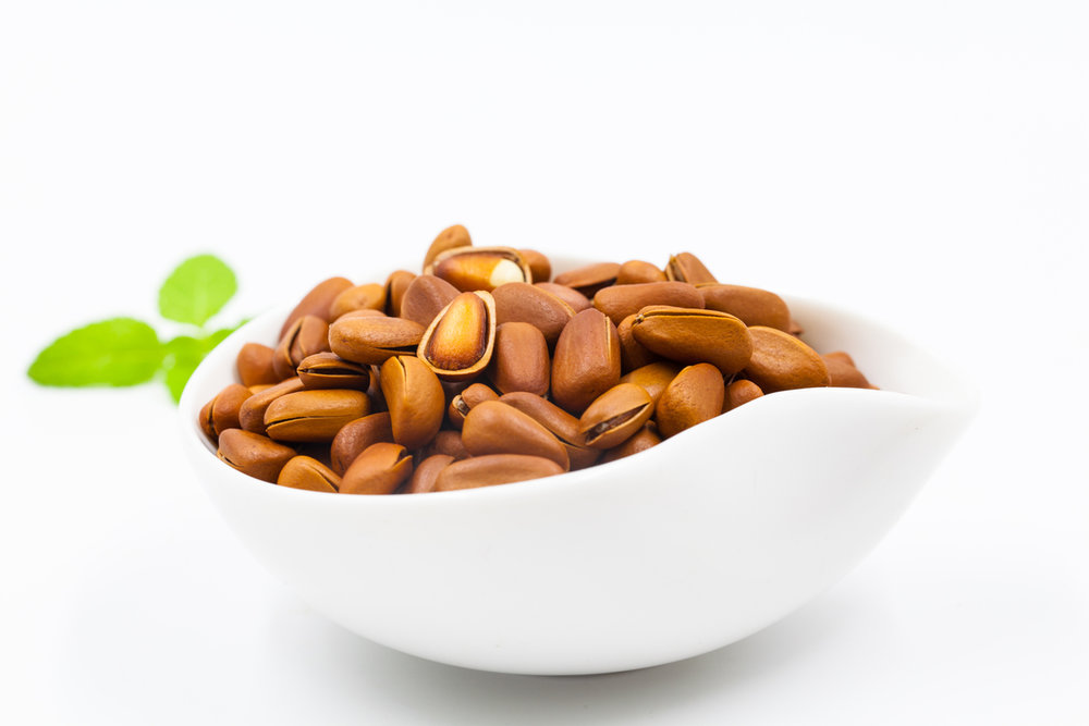 海松子的做法(海松子是什么样子)