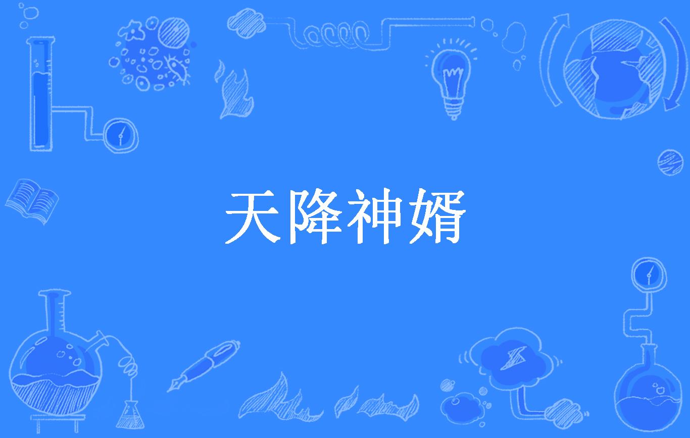 天降神婿