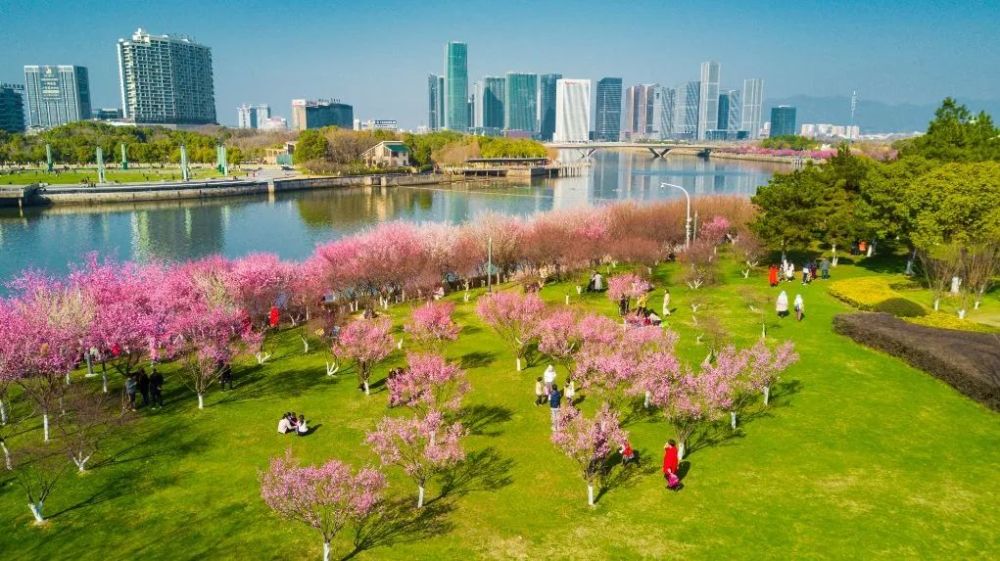 义乌植物园