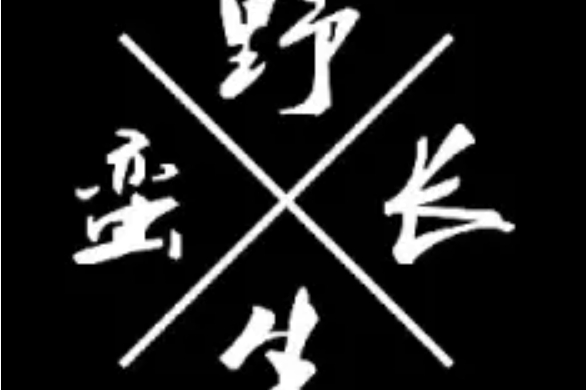 天津野蛮生长