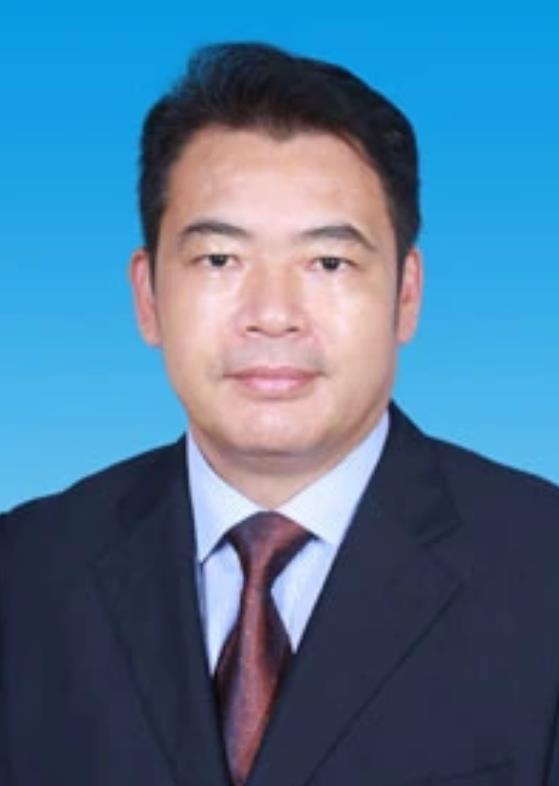  /p> p>现任琼海市人民政府副市长(挂职),党组成员