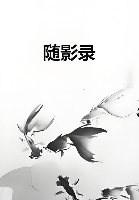 随影录_百度百科