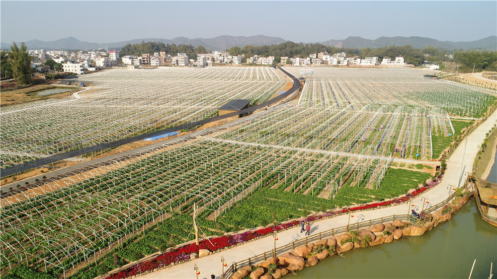  p>汉光超顺种植基地位于广东省五华县棉洋镇 a target="_blank" href