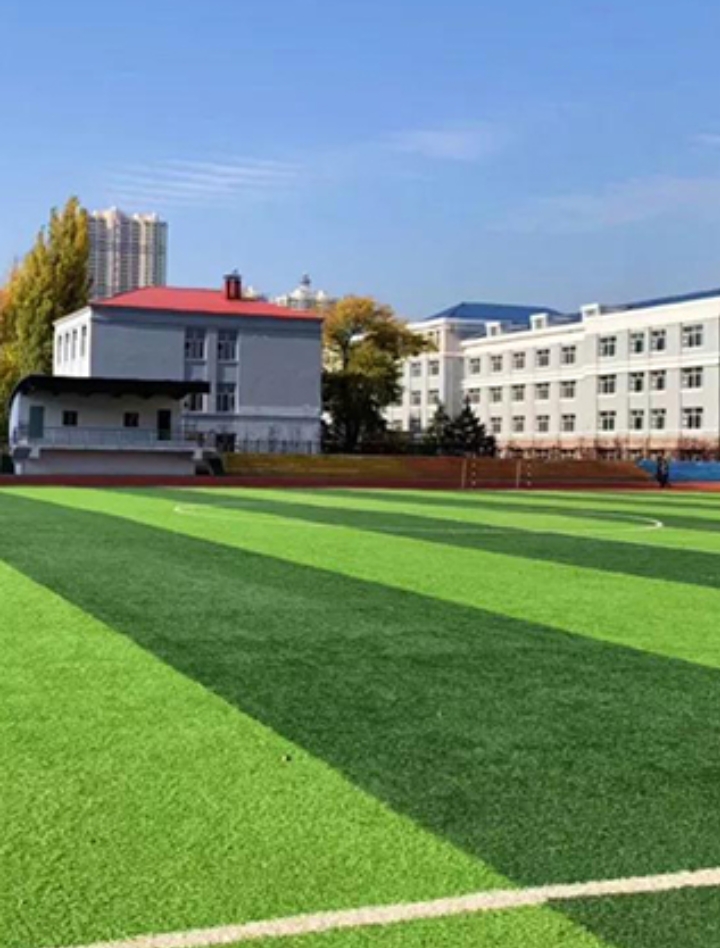  p>哈尔滨市第六中学校(harbin no.