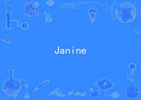 Janine（Bushido演唱的歌曲）_百度百科