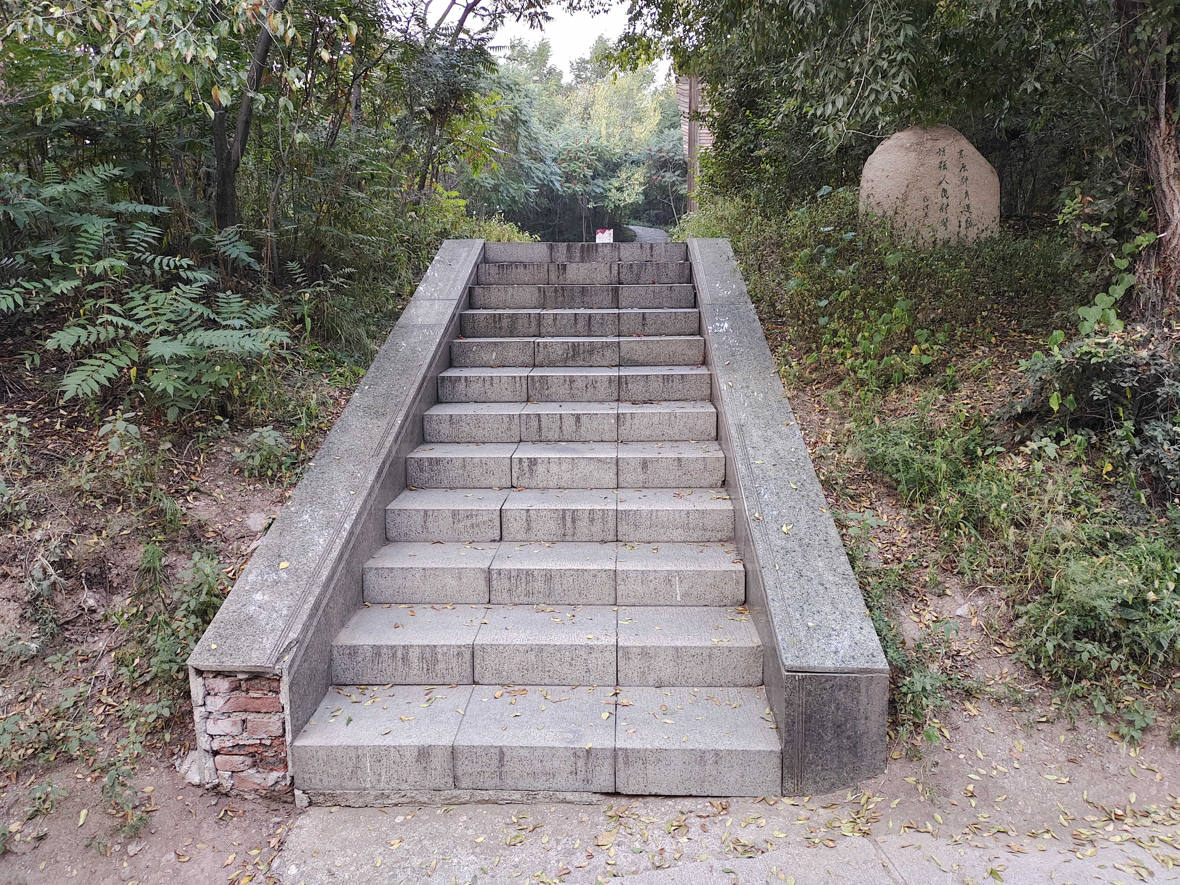 台阶