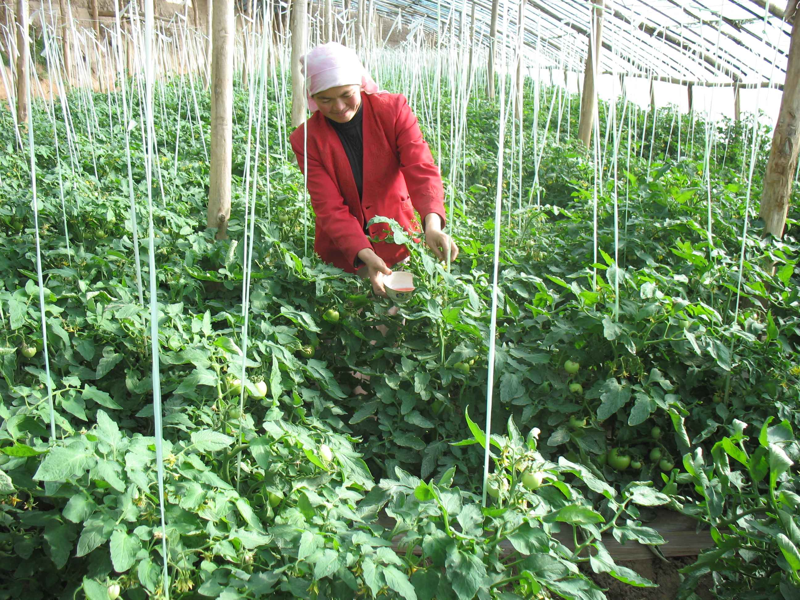  p>菜子山村位于甘肃省兰州市榆中县和平镇南部,距和平镇10公里,距