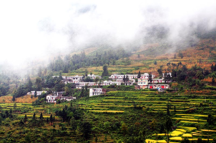 ">贵州省 /a>六盘水市 a target="_blank" href="/item/盘县/2707210"