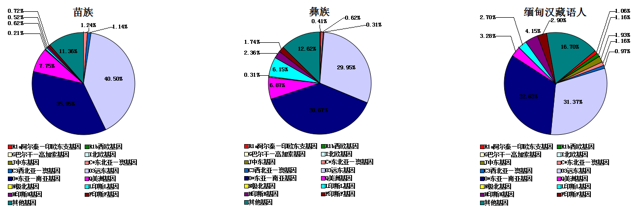  p>世界人种基因图谱是不同的人体内含有不同 a target="_blank" href