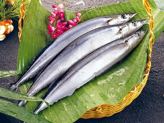 黄河刀鱼