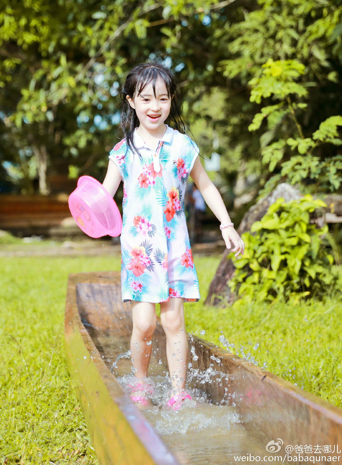 夏天(poppy),2009年12月2日出生于台湾,中加