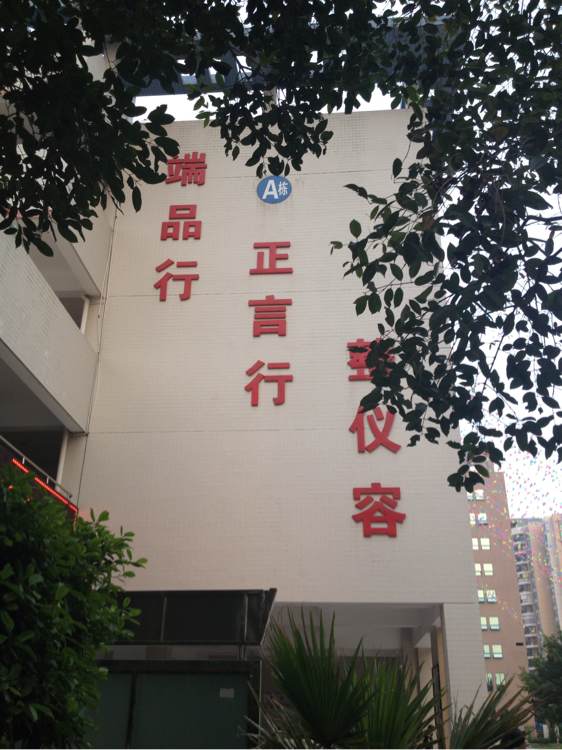  p>茂名市龙岭学校坐落在广东省茂名市小东江竹园桥东面,环境优美,是