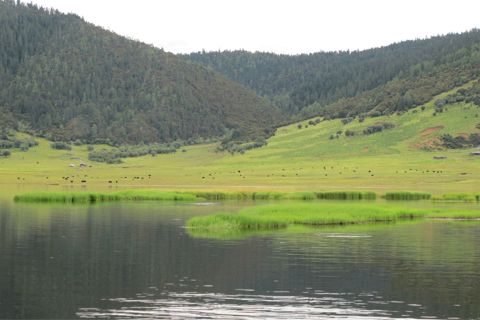 迪庆州香格里拉普达措景区