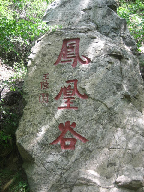 凤凰谷森林公园